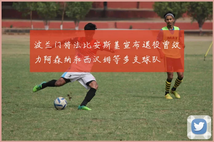 波兰门将法比安斯基宣布退役曾效力阿森纳和西汉姆等多支球队