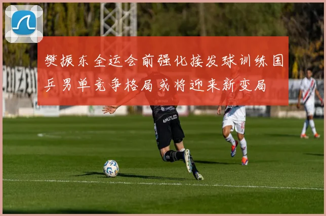 樊振东全运会前强化接发球训练国乒男单竞争格局或将迎来新变局